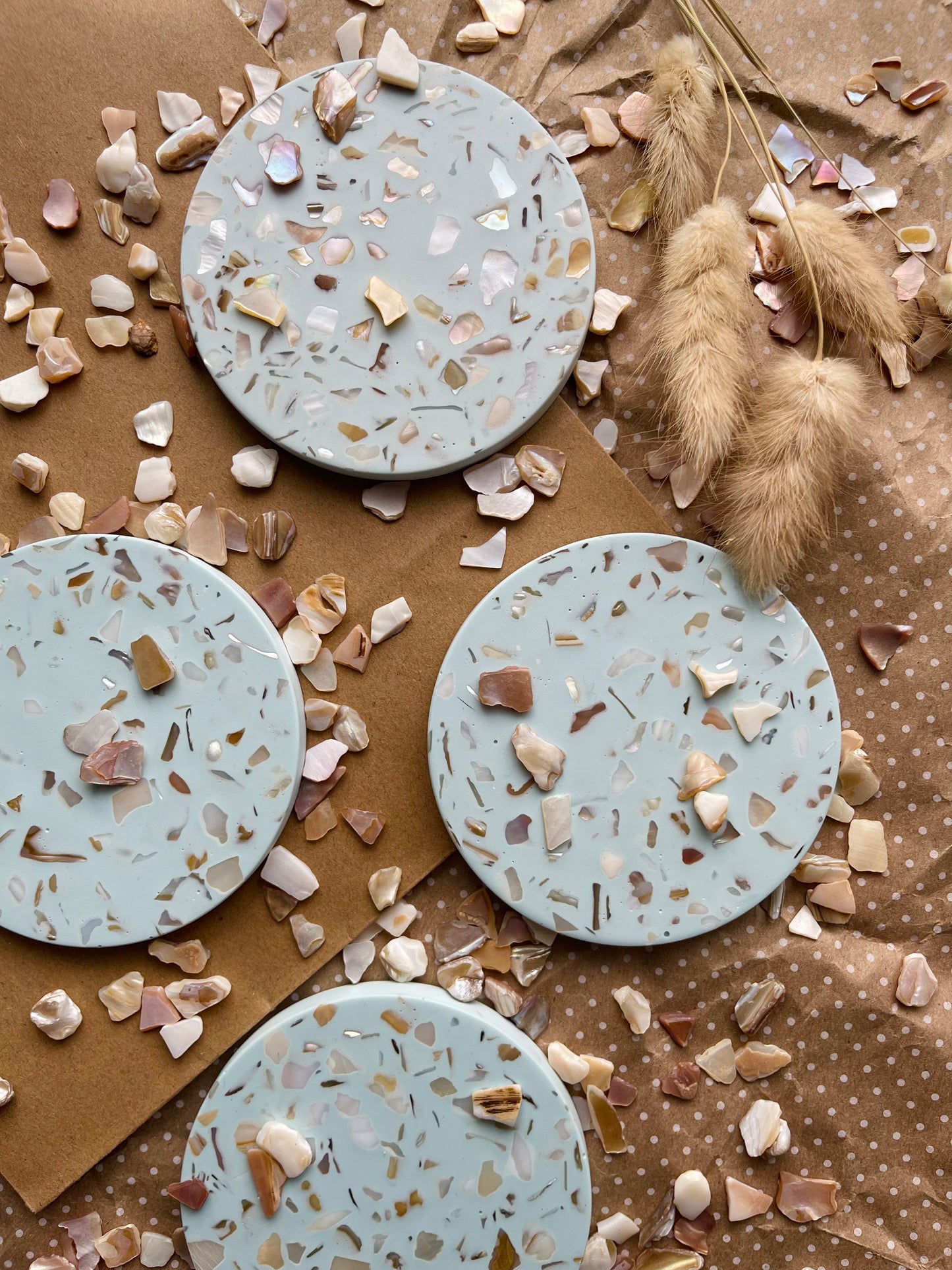 Seashells Coaster
