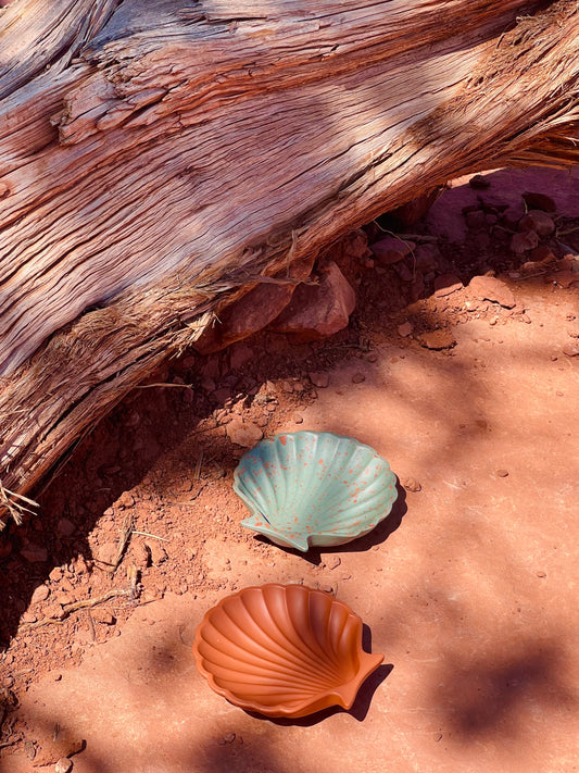 Sedona Shell Trays - Limited Edition